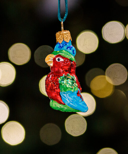 Mini - parrot 1k0a3692