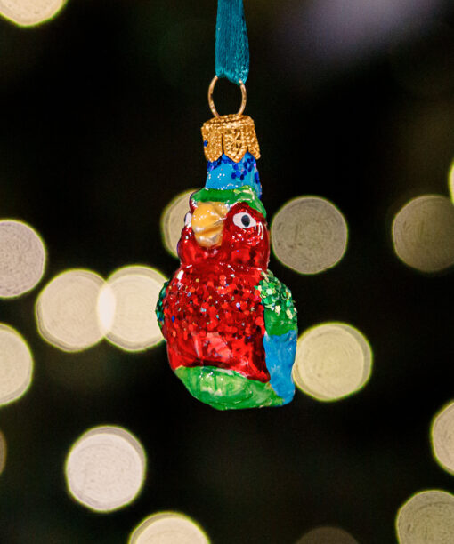 Mini - parrot 1k0a3693