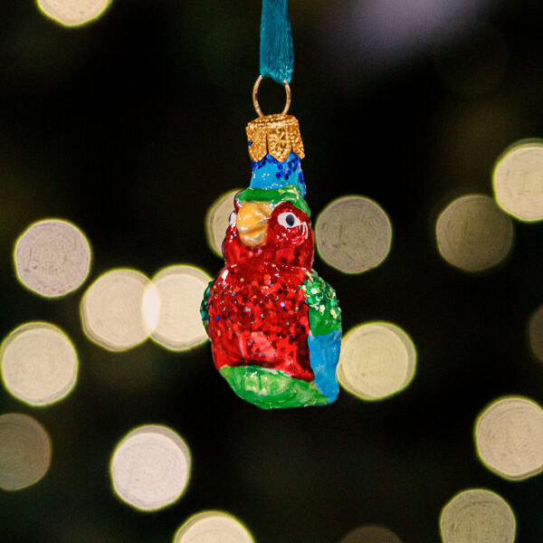 Mini - parrot 1k0a3693