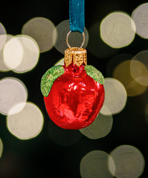 Mini - apple 1k0a3717