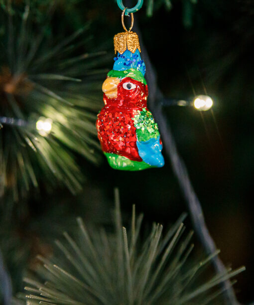 Mini - parrot  1k0a3754