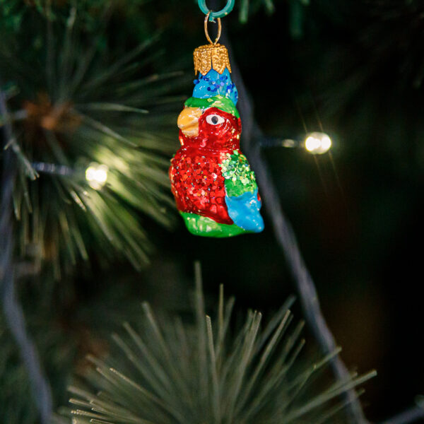 Mini - parrot 1k0a3754