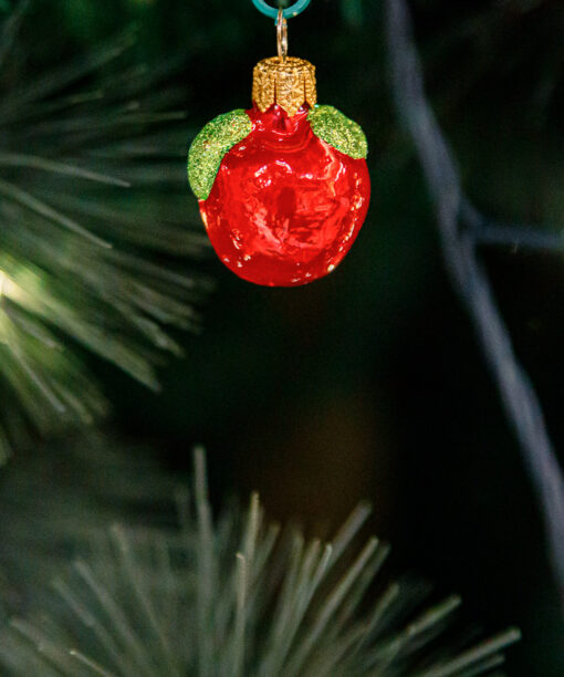 Mini - apple 1k0a3761