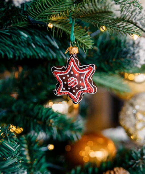 Gingerbread - Chocolate Star 1k0a6834
