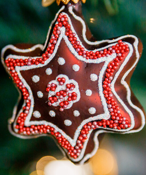 Gingerbread - Chocolate Star 1k0a6835