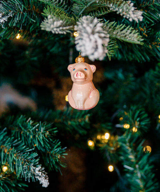 Mini Farm - Piggy  1k0a6912