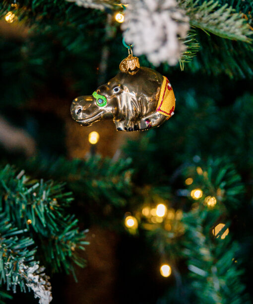 Mini zoo - hippo  1k0a69131