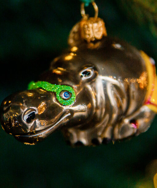 Mini zoo - hippo  1k0a6917