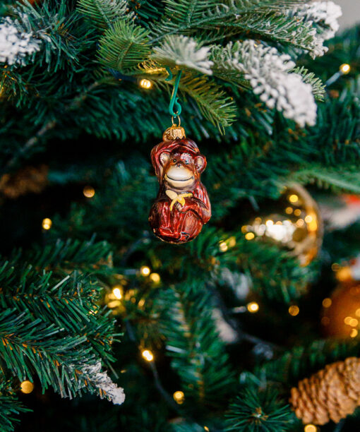 Mini zoo - monkey  1k0a6923