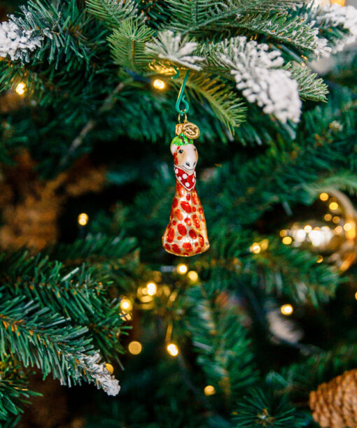 Mini zoo - giraffe  1k0a6925