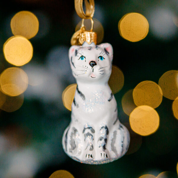 Mini Farm - Cat 1k0a6948