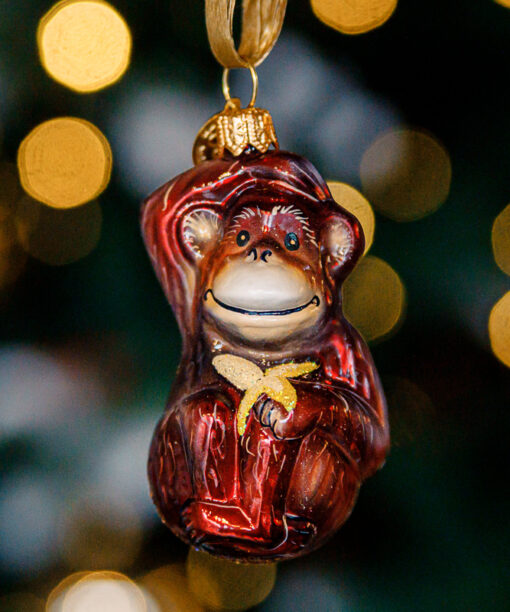 Mini zoo - monkey 1k0a6955