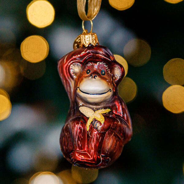Mini zoo - monkey 1k0a6955