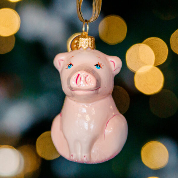 Mini Farm - Piggy 1k0a6967