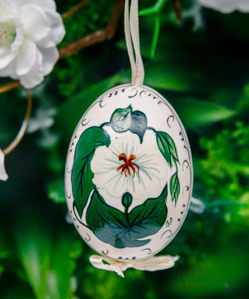 Duck's eggshell - flowers 1k0a7191