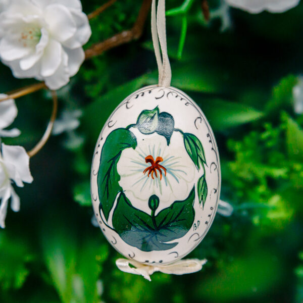 Duck's eggshell - flowers 1k0a7191