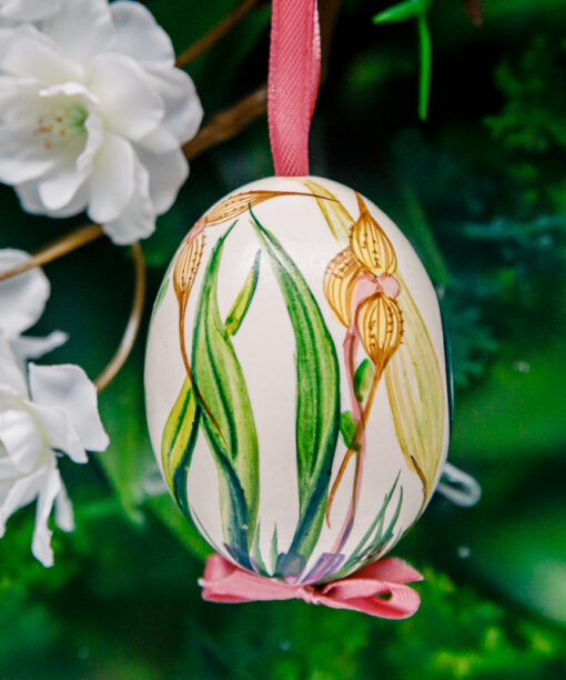 Duck's eggshell - orchid 1k0a7275