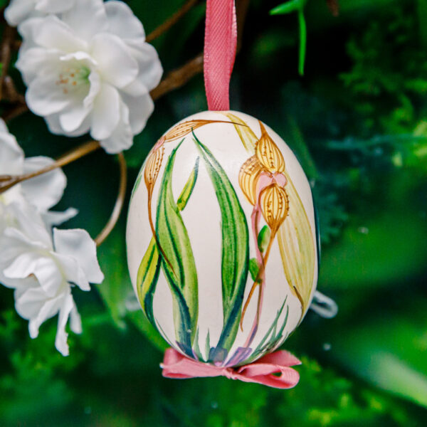 Duck's eggshell - orchid 1k0a7275