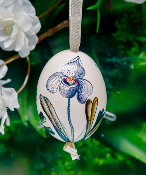 Duck's eggshell - orchid 1k0a7277