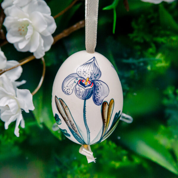 Duck's eggshell - orchid 1k0a7277