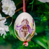 Duck's eggshell - orchids with pink  1k0a7281