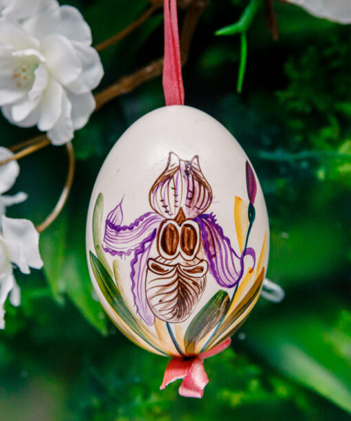 Duck's eggshell - orchids with pink 1k0a7281