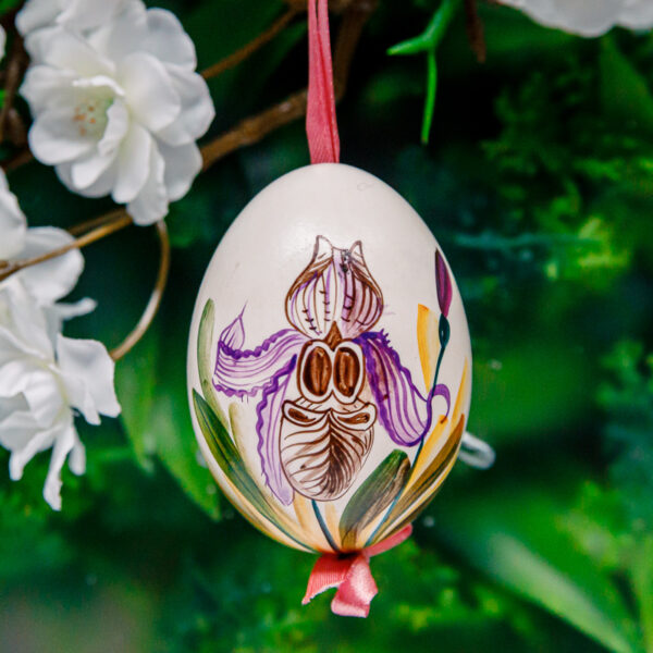 Duck's eggshell - orchids with pink 1k0a7281