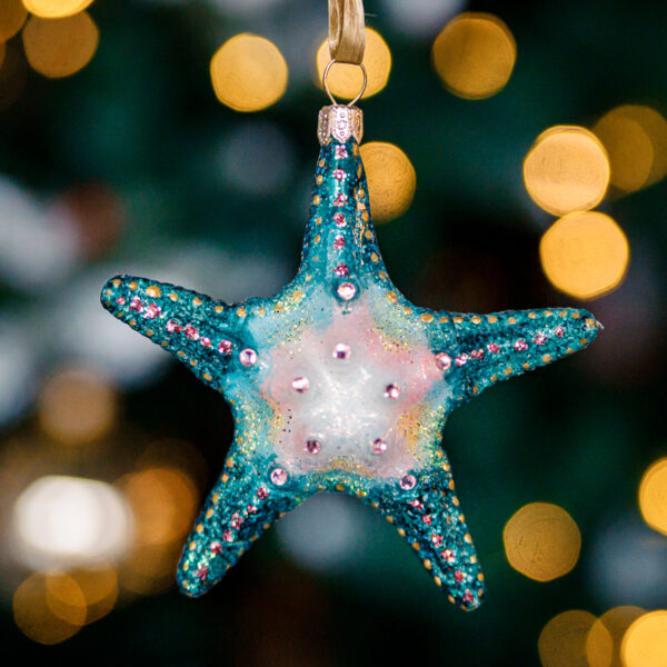 Starfish 1k0a7310