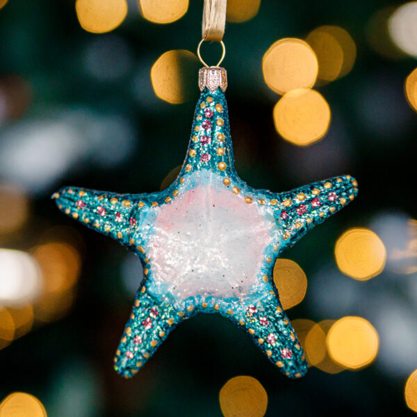 Starfish 1k0a7311