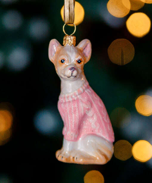 Chihuahua in a pink sweater 1k0a7330