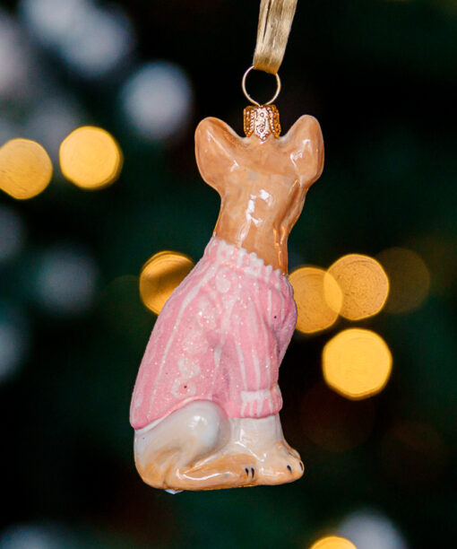 Chihuahua in a pink sweater 1k0a7331