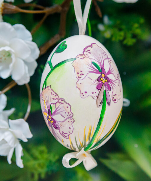 Duck's eggshell - orchid 1k0a7435