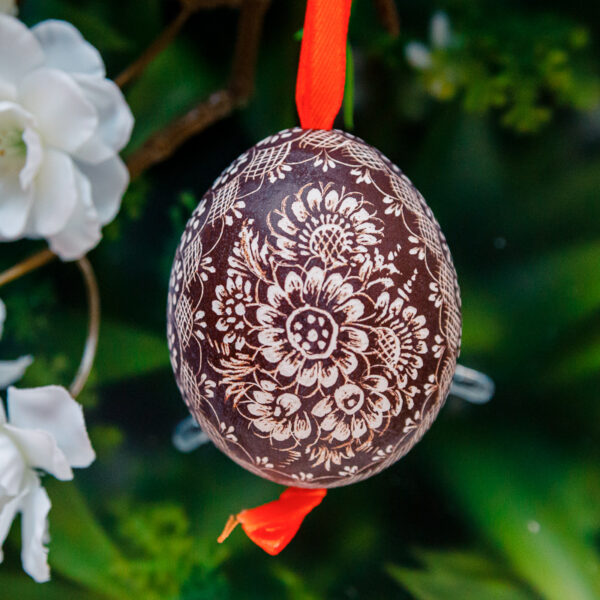 Opole chicken egg brown 1k0a74731