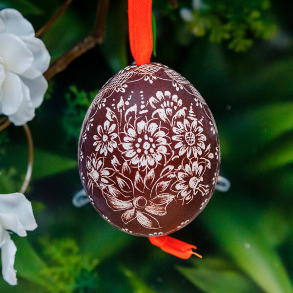 Opole chicken egg brown 1k0a7476