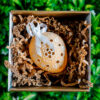 Lace egg in a box - yellow 1k0a7599