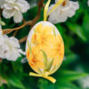 Hen Easter Egg - Daffodil 1k0a7748