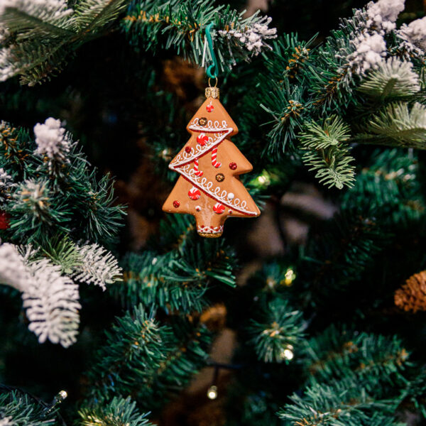 Ginger-bread christmas tree 1k0a7809