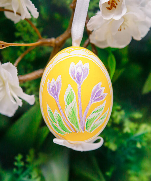 Easter Egg scratched - Crocuses 1k0a7897