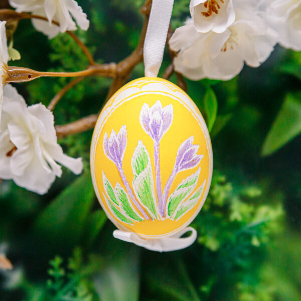 Easter Egg scratched - Crocuses 1k0a7897
