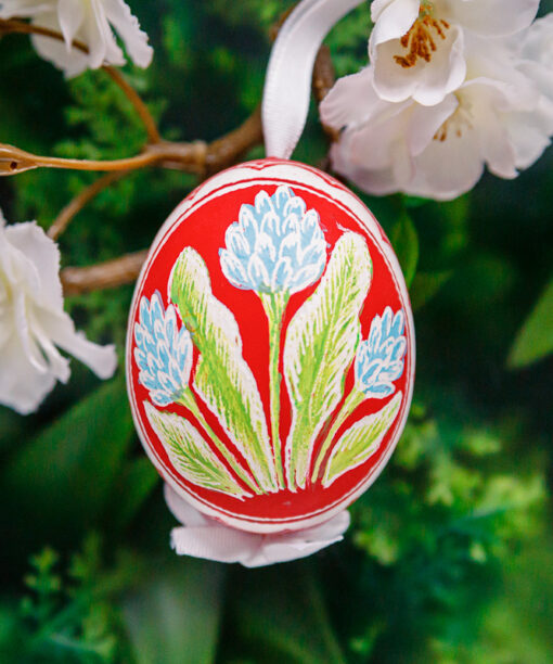 Easter Egg scratched - Irises 1k0a7902