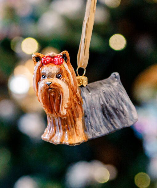 Psy Komozja - Yorkshire terrier 1k0a8460