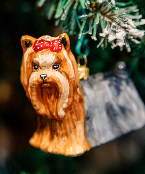 Psy Komozja - Yorkshire terrier 1k0a8482
