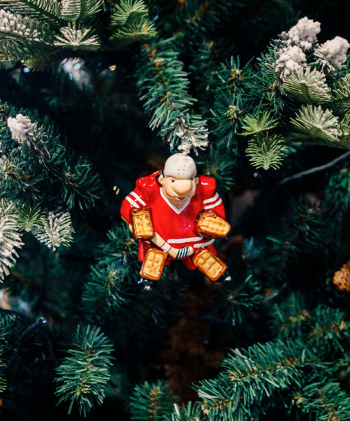 Hockey goalkeeper  1k0a8560