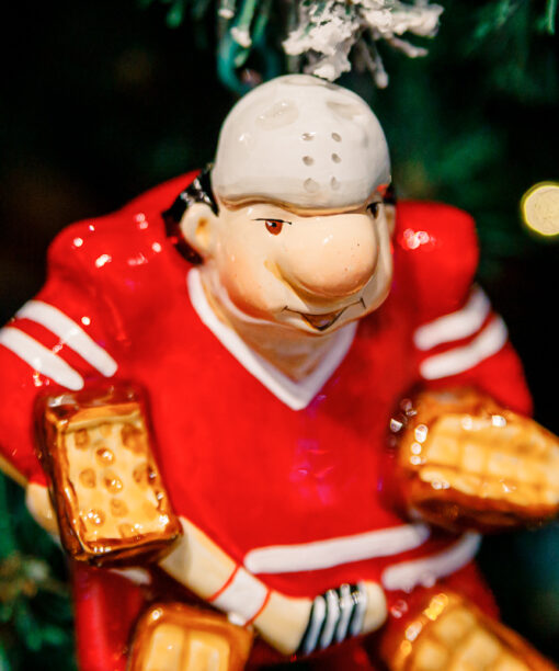 Hockey goalkeeper  1k0a8561