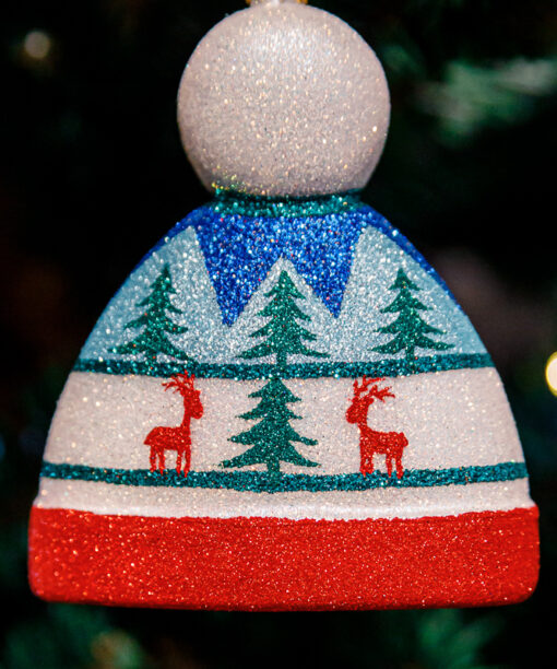 Scandinavian, winter hat 1k0a9722