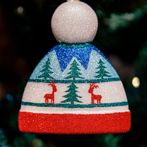Scandinavian, winter hat 1k0a9722
