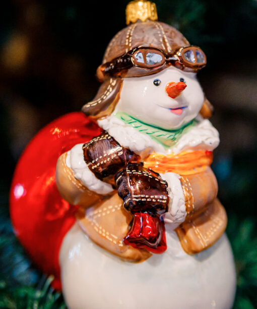 Snowman Pilot  1k0a9745