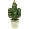 Cactus  Img 2486