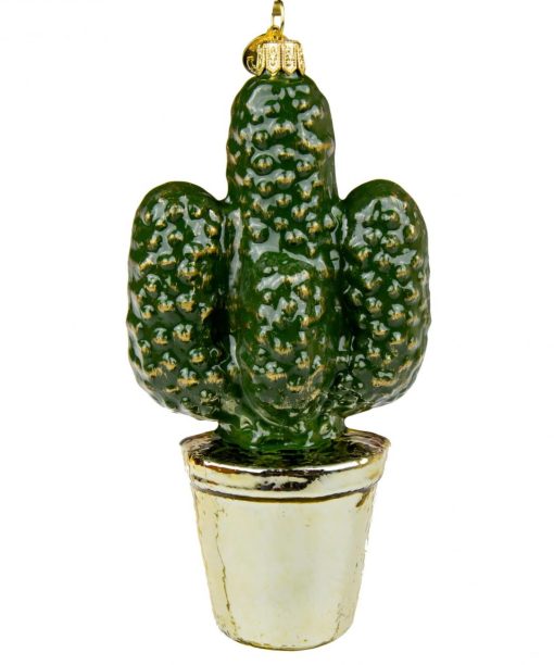 Cactus Img 2486
