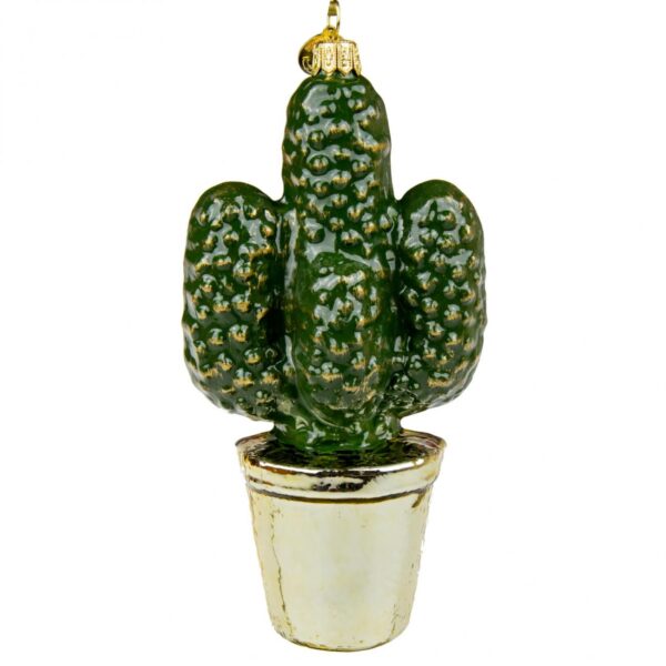 Cactus Img 2486